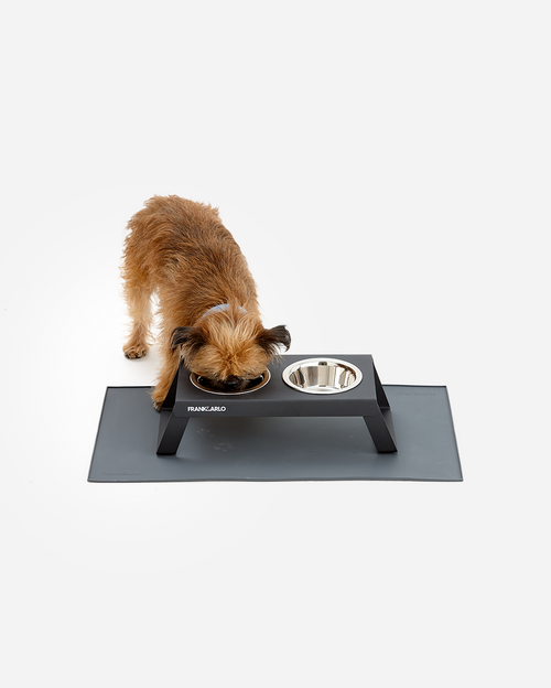 Elevated Double Dog Feeder
