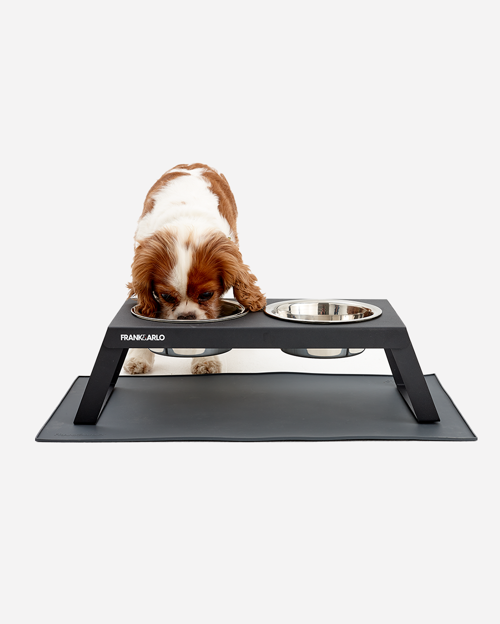 Elevated Double Dog Feeder