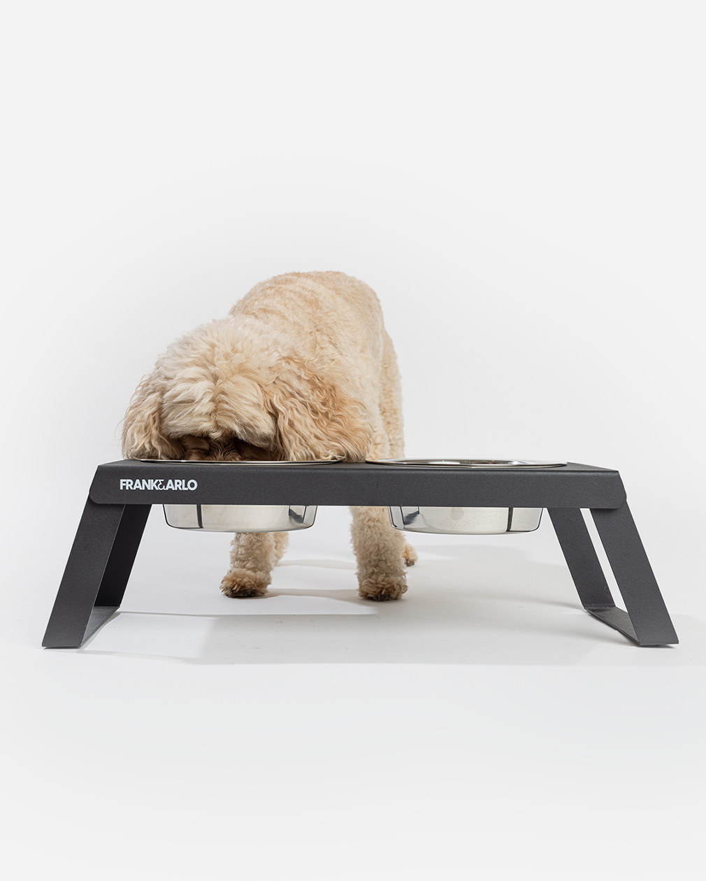 Elevated Double Dog Feeder