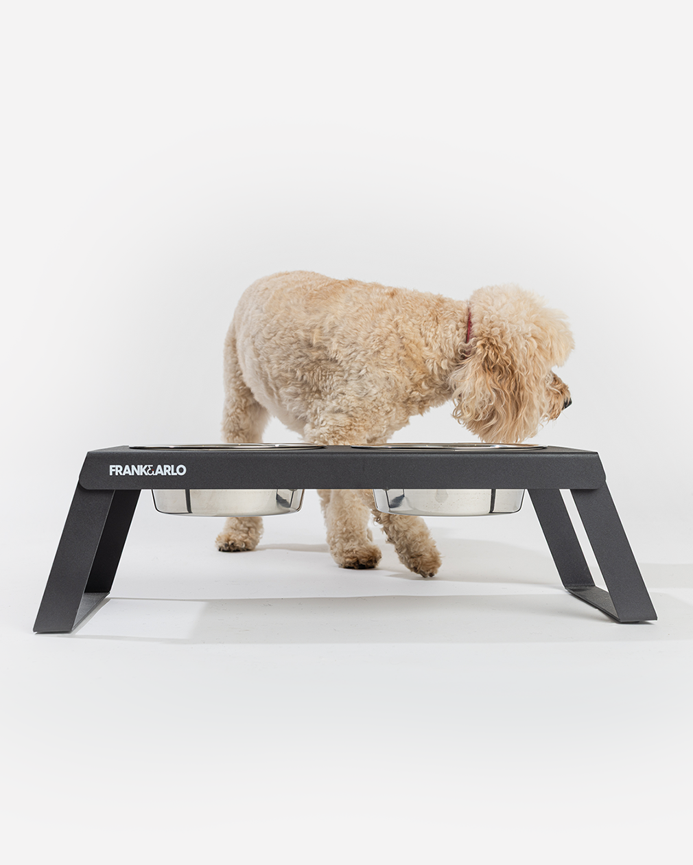 Elevated Double Dog Feeder