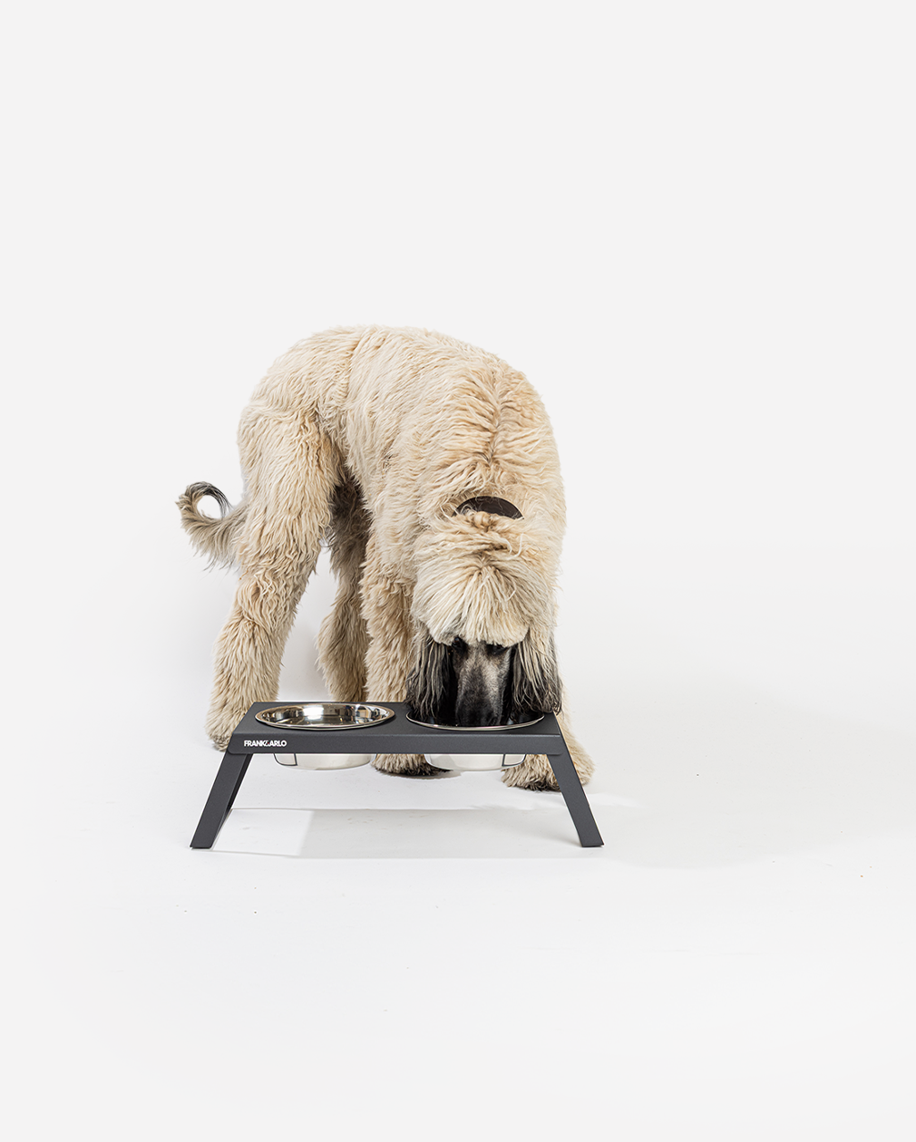 Elevated Double Dog Feeder