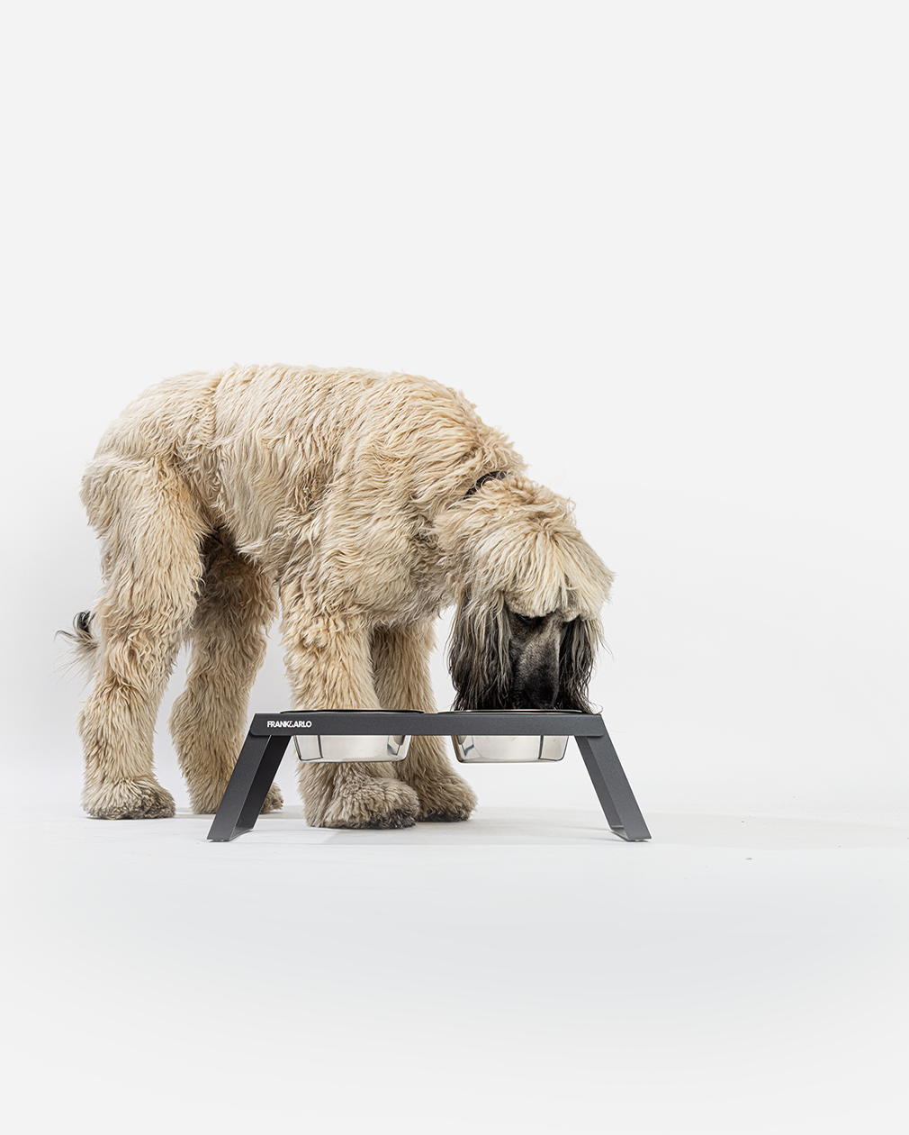 Elevated Double Dog Feeder