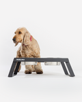 Elevated Double Dog Feeder