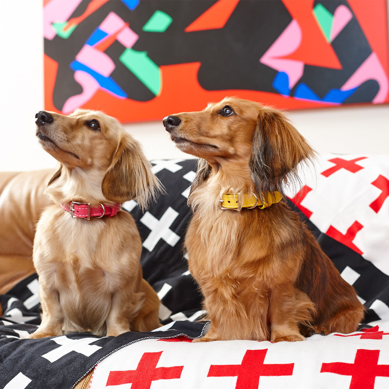 Swiss Cross 100% Cotton Dog Blankets - Code SALE15 for 15% off