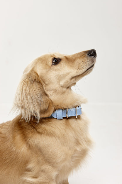 Leather Collars - Code SALE35 to get 35%off