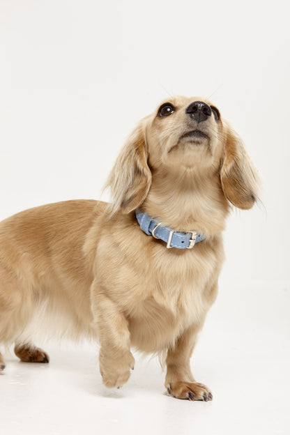 Leather Collars - Code SALE35 to get 35%off
