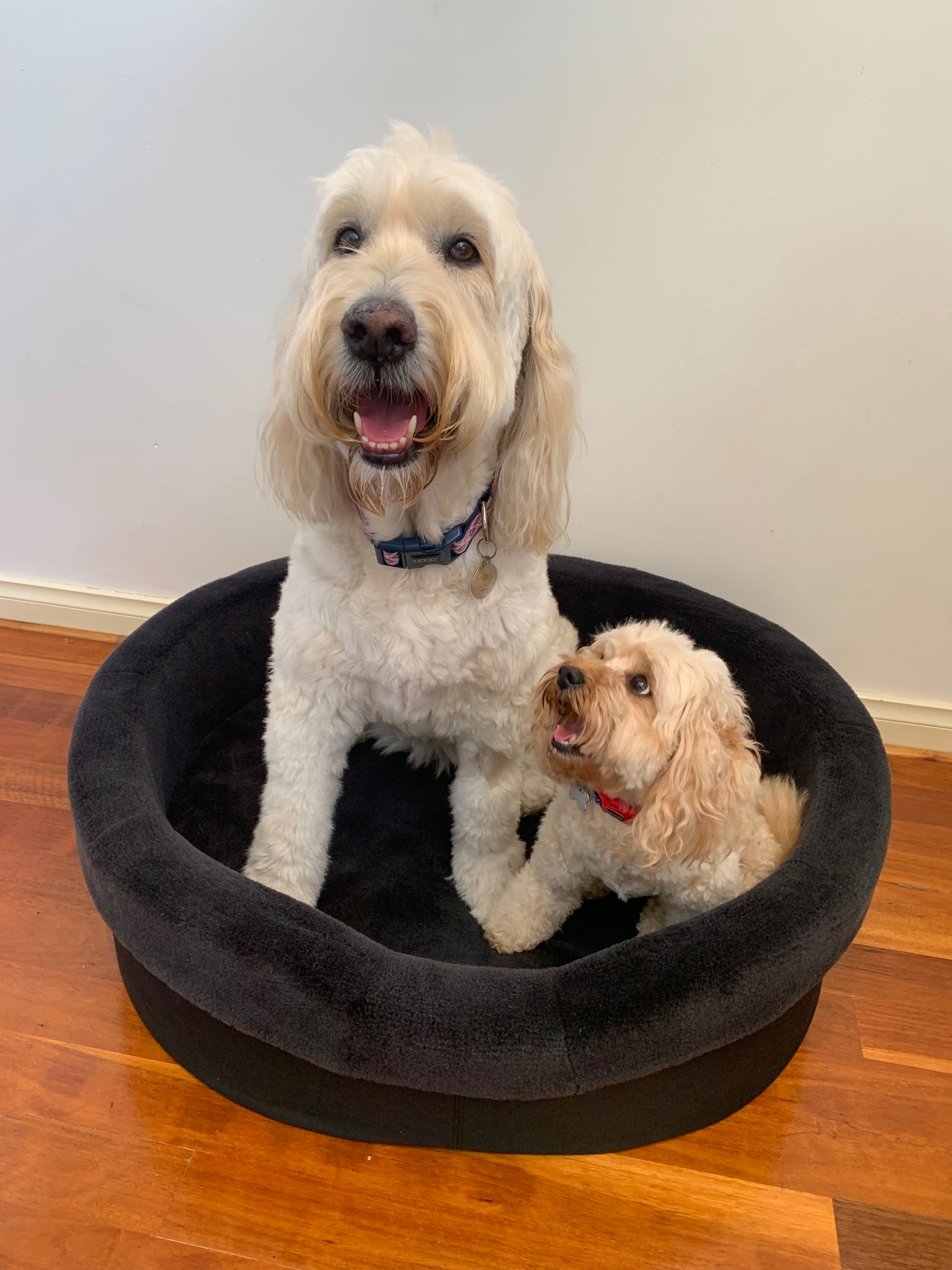 Australian Sheep Fleece Dog Bed / PRE-SALE - Code SALE20 to get 20% discount offer 30 days only!