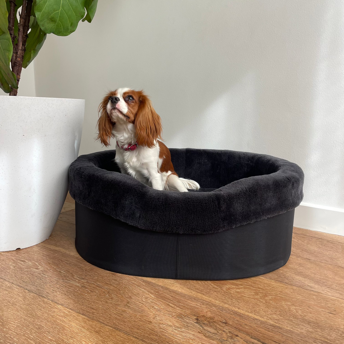 Australian Sheep Fleece Dog Bed / PRE-SALE - Code SALE20 to get 20% discount offer 30 days only!