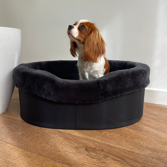 Australian Sheep Fleece Dog Bed / PRE-SALE - Code SALE20 to get 20% discount offer 30 days only!
