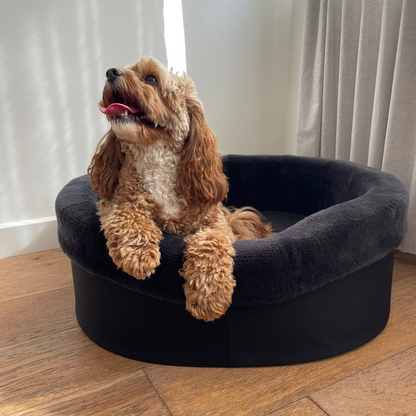 Australian Sheep Fleece Dog Bed / PRE-SALE - Code SALE20 to get 20% discount offer 30 days only!