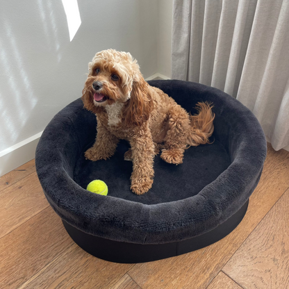 Australian Sheep Fleece Dog Bed / PRE-SALE - Code SALE20 to get 20% discount offer 30 days only!