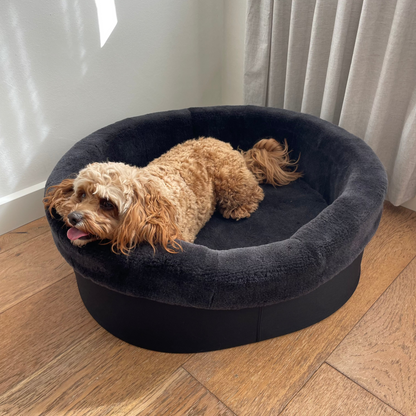 Australian Sheep Fleece Dog Bed / PRE-SALE - Code SALE20 to get 20% discount offer 30 days only!