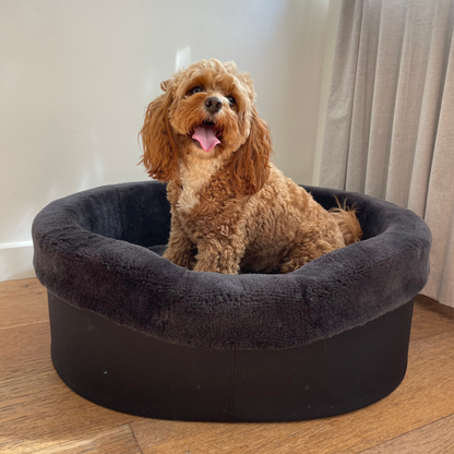 Australian Sheep Fleece Dog Bed / PRE-SALE - Code SALE20 to get 20% discount offer 30 days only!