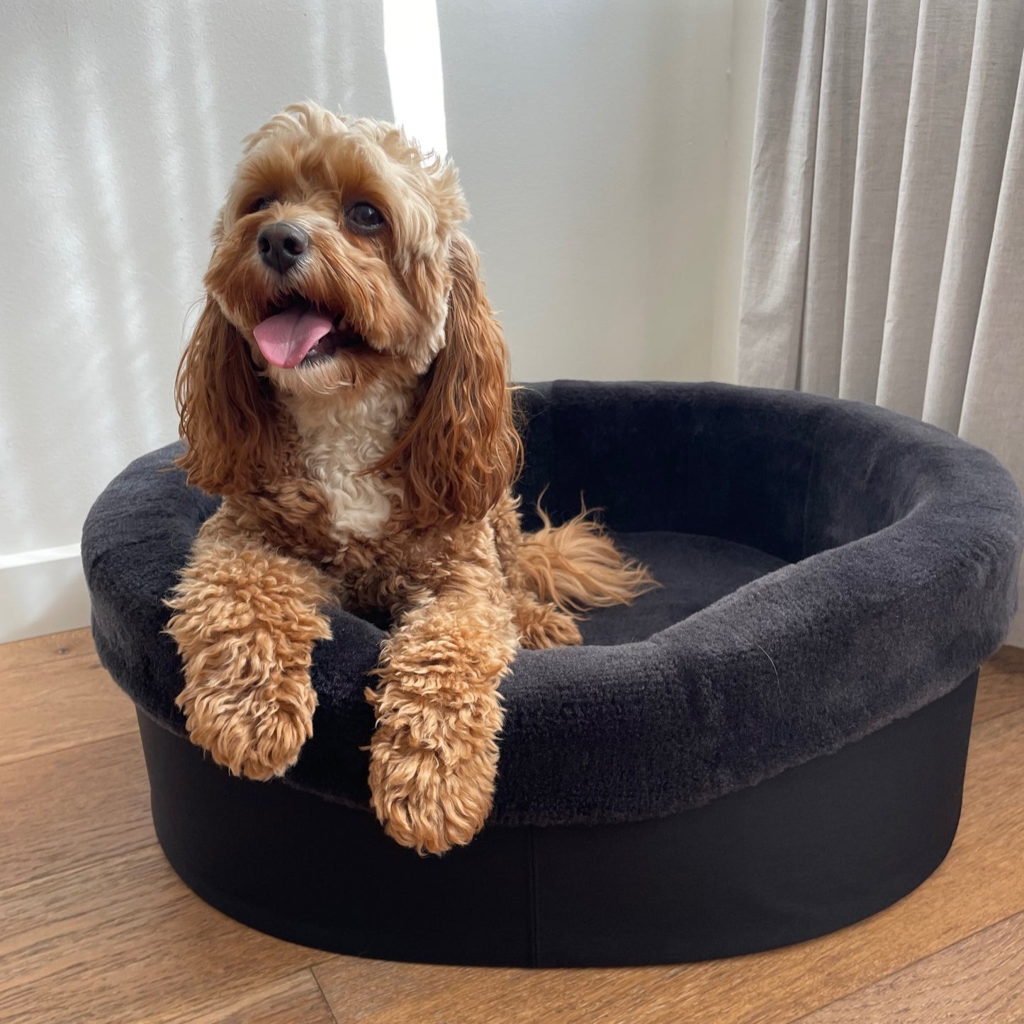Australian Sheep Fleece Dog Bed / PRE-SALE - Code SALE20 to get 20% discount offer 30 days only!