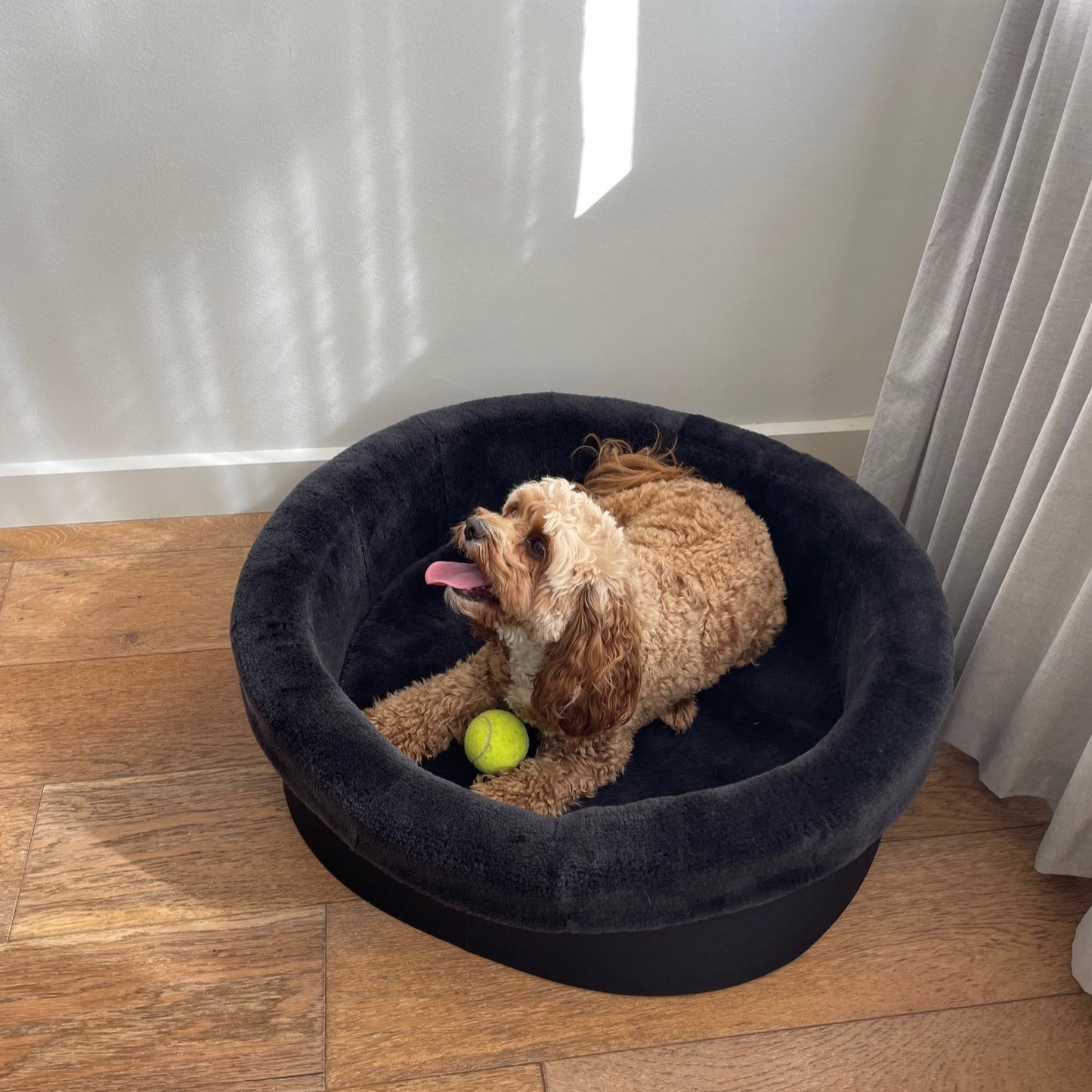 Australian Sheep Fleece Dog Bed / PRE-SALE - Code SALE20 to get 20% discount offer 30 days only!