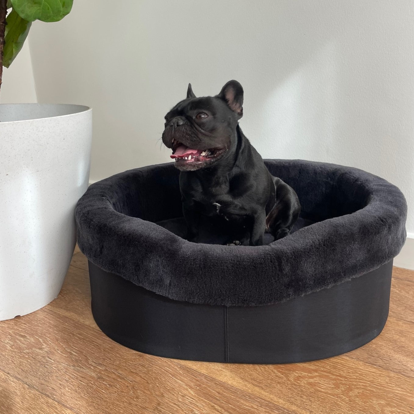 Australian Sheep Fleece Dog Bed / PRE-SALE - Code SALE20 to get 20% discount offer 30 days only!