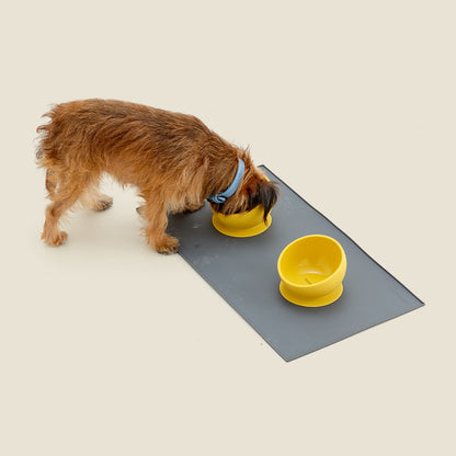 Suction Based, Scooped Silicone Dog Bowl - Code SALE15 for 15% off