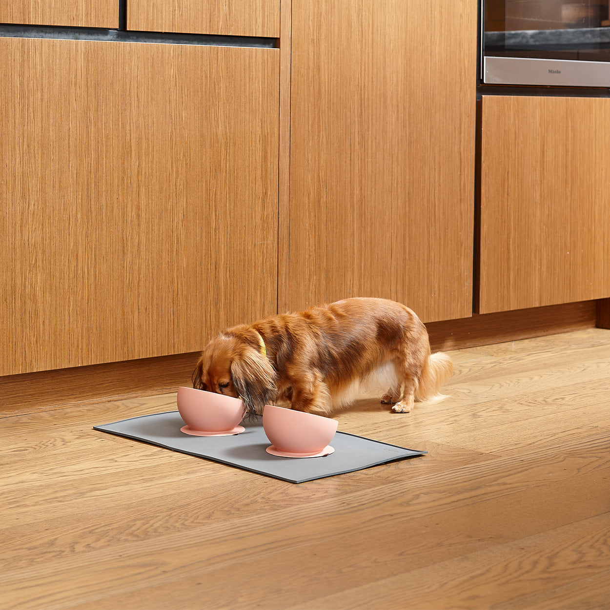 Suction Based, Scooped Silicone Dog Bowl - Code SALE15 for 15% off