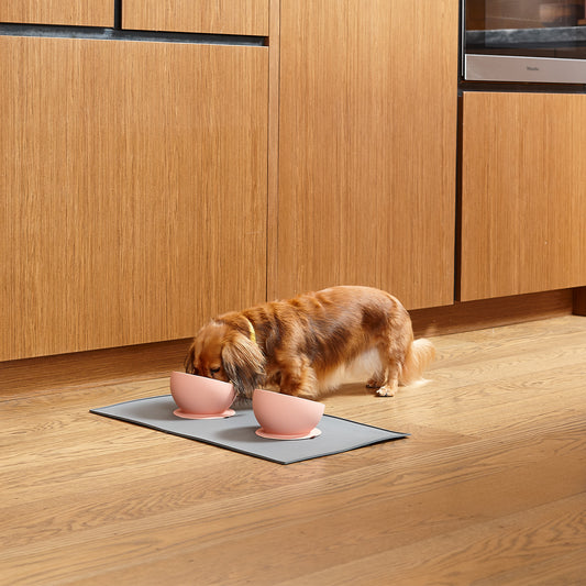 Suction Based, Scooped Silicone Dog Bowl - Code SALE15 for 15% off